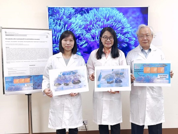 塑膠微粒竟讓珊瑚「骨質疏鬆」！　中山大學最新研究登頂尖期刊1